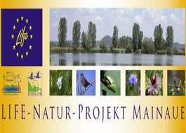 Life_Natur_Projekt_Mainaue